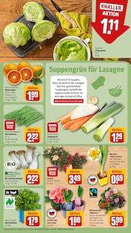 Narzissen im REWE Prospekt "Dein Markt" mit 36 Seiten (Dresden)