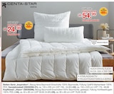 Aktuelles Ganzjahresbett Angebot bei Möbelzentrum Pforzheim in Stuttgart ab 24,99 €