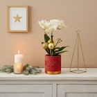 Mini orchidée à 10,99 € dans le catalogue Carrefour