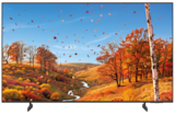 Aktuelles 4K UHD Mini LED-TV GU55M71HAUXZG Angebot bei expert in Ludwigshafen (Rhein) ab 499,00 €