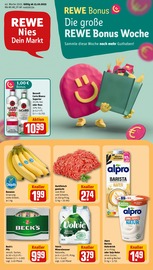 REWE Discounter Prospekt der aktuellen Woche mit 24 Seiten, gültig von 13.10.2025 bis 18.10.2025, in Hungen und Umgebung Aktueller REWE Discounter Prospekt in Hungen und Umgebung, "Dein Markt" mit 24 Seiten, 13.10.2025 - 18.10.2025