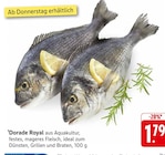 Dorade Royal Angebote bei EDEKA Frankenthal für 1,79 €