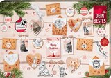 dm-drogerie markt Gevelsberg - Katze Adventskalender 2023 Angebot im Prospekt Katze Adventskalender 2023 bei dm-drogerie markt im Gevelsberg Prospekt für 16,95 €