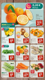 Pflanzen im aktuellen nahkauf Prospekt (Hildesheim) Pflanzen im nahkauf Prospekt "nichts liegt näher" mit 8 Seiten (Hildesheim)