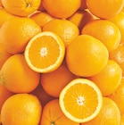 Orange à dessert et/ou à jus à 2,99 € dans le catalogue Netto