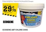 Ecogene ab7 chlore choc - ECOGENE en promo chez Tout Faire Villefranche-sur-Saône à 29,75 €