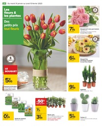 Offre Bricolage et Jardin dans le catalogue Carrefour du moment à la page 20