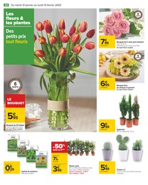 Prix et réduction Bricolage et Jardin dans le prospectus Carrefour en cours Offre Bricolage et Jardin dans le catalogue Carrefour du moment à la page 20