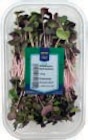 Microgreens Erbsen von METRO Chef im aktuellen METRO Prospekt für 4,27 €