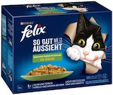 Katzenahrung Angebote von Felix bei REWE Neumünster für 3,99 €