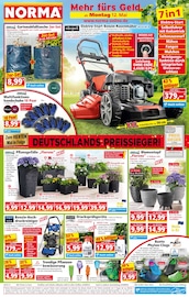 Matratze im Norma Prospekt in Mühlhausen Aktueller Norma Prospekt mit Matratze, "Mehr fürs Geld", Seite 1