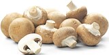Aktuelle Champignons Angebote bei REWE in Hamburg Aktuelles Braune Champignons Angebot bei REWE in Hamburg ab 1,49 €