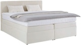 Boxspringbett ROSSA im Angebot bei mömax in Bünde Boxspringbett ROSSA Angebote bei mömax Bünde für 888,00 €