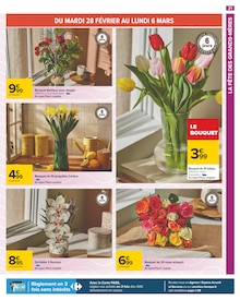 Plante D'intérieur Carrefour ᐅ Promos et prix dans le catalogue de la  semaine