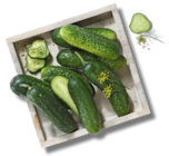 Kaufland Gusow-Platkow - Dtsch. Einlegegurken, lose Angebot im Prospekt Dtsch. Einlegegurken, lose bei Kaufland im Gusow-Platkow Prospekt für 1,49 €