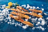 LANGOUSTINES CRUES - SANS MARQUE en promo chez Auchan Hypermarché Cherbourg-Octeville à 12,99 €