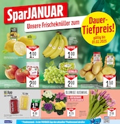 Aktueller Marktkauf Prospekt mit Blumen, "Aktuelle Angebote", Seite 9