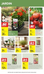 Offre Plante Aromatique dans le catalogue Carrefour du moment à la page 50