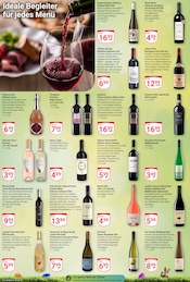 Aktueller GLOBUS Prospekt mit Prosecco, "Aktuelle Angebote", Seite 16