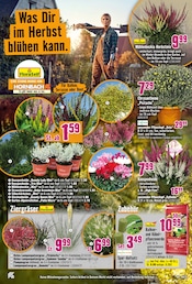 Gartenerde im Hornbach Prospekt in Böblingen Aktueller Hornbach Prospekt mit Gartenerde, "Dir ist vieles Latte. Nur nicht Dein Garten.", Seite 14