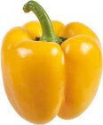 Aktuelles Paprika „rot“ Angebot bei EDEKA in Hamm ab 1,49 €