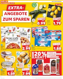 Aktueller Kaufland Prospekt "EXTRA-ANGEBOTE" Aktueller Kaufland Prospekt