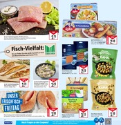 Aktueller Marktkauf Prospekt mit Bratpfanne, "Aktuelle Angebote", Seite 16