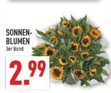 SONNEN-BLUMEN im Angebot bei Marktkauf in Leverkusen SONNEN-BLUMEN Angebote bei Marktkauf Leverkusen für 2,99 €