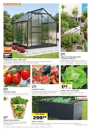 Gemüsepflanzen Angebot im aktuellen OBI Prospekt auf Seite 4