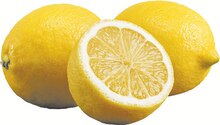 Zitronen Angebot in Harsefeld im aktuellen Prospekt bei EDEKA in Harsefeld