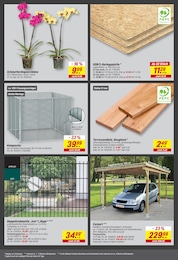 Terrassendielen Angebot & Preis im aktuellen toom Baumarkt Prospekt Terrassendielen Angebot im aktuellen toom Baumarkt Prospekt auf Seite 38