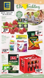 Cola im EDEKA Prospekt in Borken Aktueller EDEKA Prospekt mit Cola, "Aktuelle Angebote", Seite 1