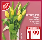 Tulpen von GUT&GÜNSTIG im aktuellen EDEKA Prospekt