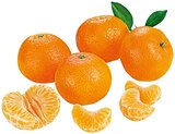 Mandarinen bei REWE im Saarlouis Prospekt für 