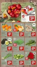 Pflanzen Angebot & Preis im aktuellen nahkauf Prospekt Pflanzen Angebot im aktuellen nahkauf Prospekt auf Seite 3