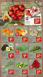 Pflanzen im nahkauf Prospekt in Mainz Aktueller nahkauf Prospekt mit Pflanzen, "nichts liegt näher", Seite 3