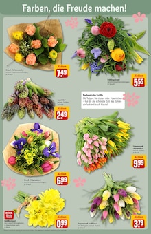 Tulpen im REWE Prospekt "Dein Markt" mit 30 Seiten (Fürth)