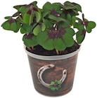 Penny Münster Prospekt mit  im Angebot für 1,89 €