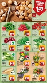 Ähnliche Angebote wie Weihnachtsstern im Prospekt "Dein Markt" auf Seite 9 von REWE in Unna