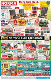 Gartenhaus Angebot im aktuellen Norma Prospekt auf Seite 1