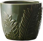 Aktuelle Blumentopf Angebote bei Rusta in Essen Aktuelles Blumentöpfe fĂŒr den Innenbereich Angebot bei Rusta in Essen ab 7,99 âŹ