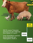 Kaufland Krumbach - Angebot im Prospekt bei Kaufland im Krumbach Prospekt für