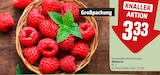 Himbeeren im Angebot bei REWE in Halle Himbeeren Angebote bei REWE Halle für 3,33 €