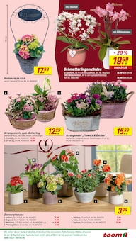 Blumen im toom Baumarkt Prospekt "Respekt, wer's selber macht." mit 24 Seiten (Bremen)