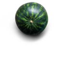 Kaufland Stollberg - Ital./span. Wassermelone Angebot im Prospekt Ital./span. Wassermelone bei Kaufland im Stollberg Prospekt für 0,99 €