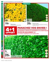 Laurier Angebote im Prospekt "PRÉPAREZ L’AUTOMNE : JARDIN - BRICOLAGE" von Carrefour auf Seite 10