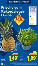 Aktueller Lidl Prospekt mit Garten, "LIDL LOHNT SICH", Seite 4