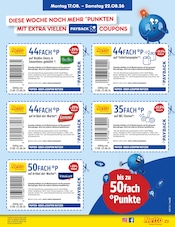 Ähnliche Pflastersteine Angebote im Prospekt "Aktuelle Angebote" von Netto Marken-Discount in Rostock Ähnliche Angebote wie Pflastersteine im Prospekt "Aktuelle Angebote" auf Seite 33 von Netto Marken-Discount in Rostock