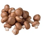 Champignons braun im tegut Prospekt Champignons braun von tegut... im aktuellen tegut Prospekt für 1,79 €