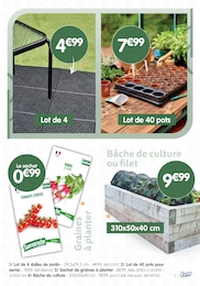 Offre Plant De Tomates dans le catalogue B&M du moment à la page 3